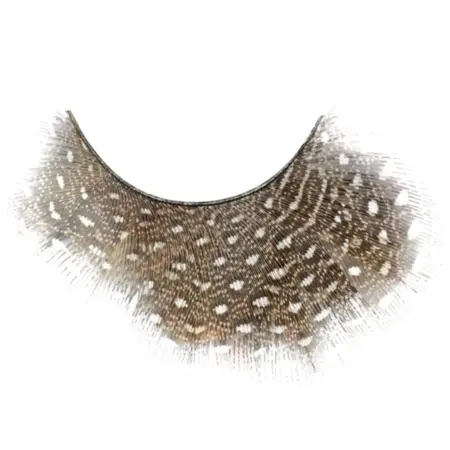 Kalentin Pestañas En Banda Fantasía New Orleans Strip